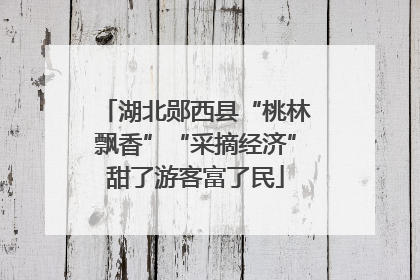 湖北郧西县“桃林飘香”“采摘经济”甜了游客富了民