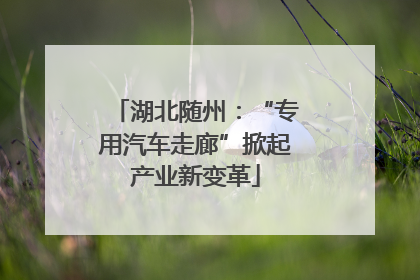 湖北随州：“专用汽车走廊”掀起产业新变革