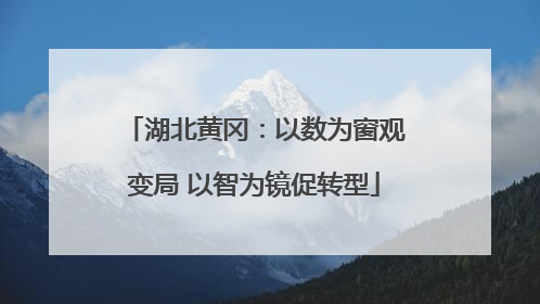 湖北黄冈：以数为窗观变局 以智为镜促转型