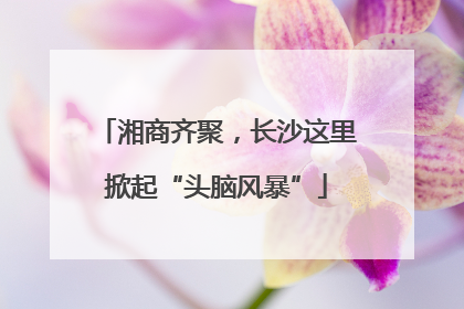 湘商齐聚，长沙这里掀起“头脑风暴”
