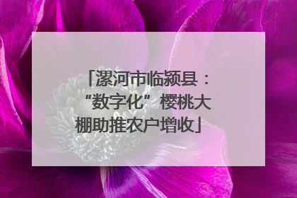 漯河市临颍县：“数字化”樱桃大棚助推农户增收