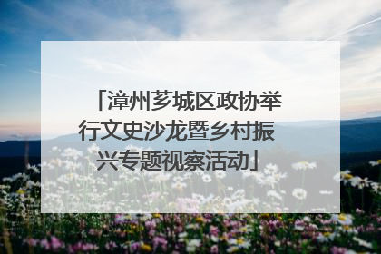 漳州芗城区政协举行文史沙龙暨乡村振兴专题视察活动