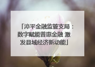 漳平金融监管支局：数字赋能普惠金融 激发县域经济新动能
