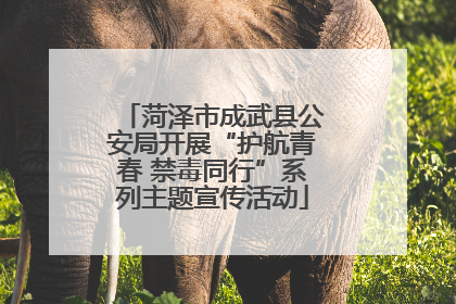 菏泽市成武县公安局开展“护航青春 禁毒同行”系列主题宣传活动