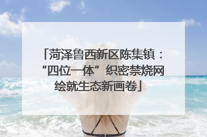菏泽鲁西新区陈集镇：“四位一体”织密禁烧网 绘就生态新画卷