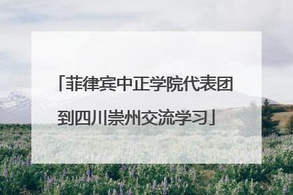 菲律宾中正学院代表团到四川崇州交流学习