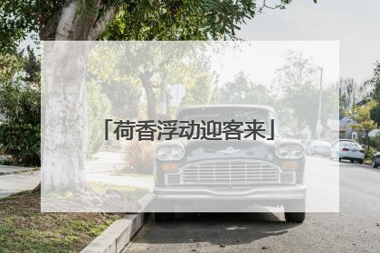 荷香浮动迎客来