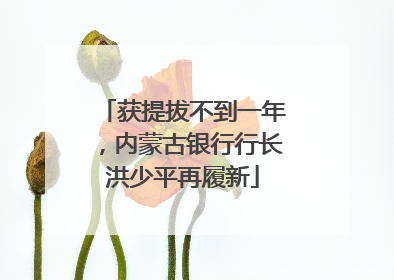 获提拔不到一年，内蒙古银行行长洪少平再履新