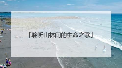 聆听山林间的生命之歌