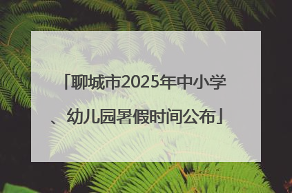 聊城市2025年中小学、幼儿园暑假时间公布