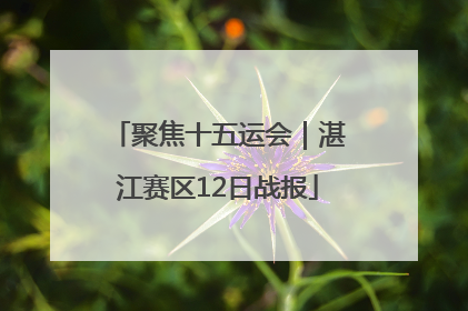 聚焦十五运会｜湛江赛区12日战报