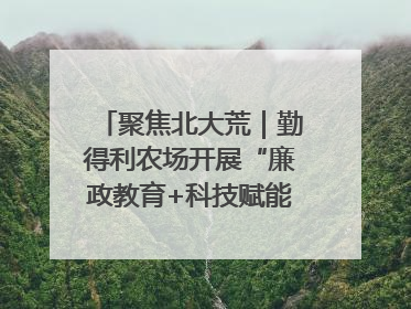 聚焦北大荒｜勤得利农场开展“廉政教育+科技赋能”主题党日活动