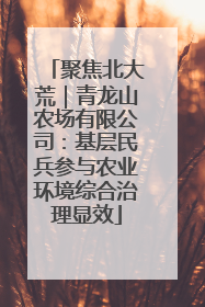 聚焦北大荒｜青龙山农场有限公司：基层民兵参与农业环境综合治理显效