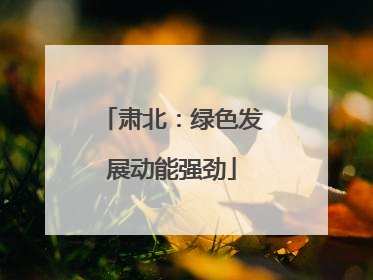 肃北：绿色发展动能强劲