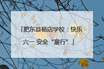 肥东县杨店学校：快乐六一 安全“童行”