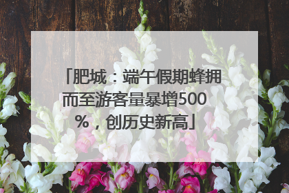 肥城：端午假期蜂拥而至游客量暴增500%，创历史新高