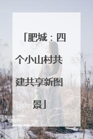 肥城：四个小山村共建共享新图景