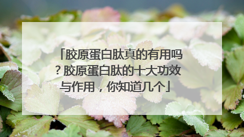 胶原蛋白肽真的有用吗？胶原蛋白肽的十大功效与作用，你知道几个