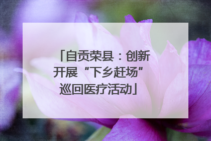 自贡荣县：创新开展“下乡赶场”巡回医疗活动
