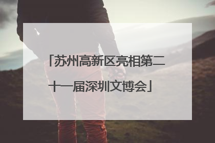 苏州高新区亮相第二十一届深圳文博会