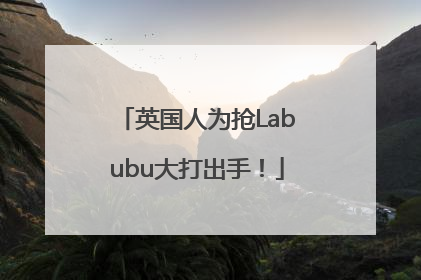 英国人为抢Labubu大打出手！