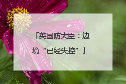 英国防大臣：边境“已经失控”