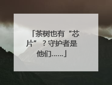茶树也有“芯片”？守护者是他们……
