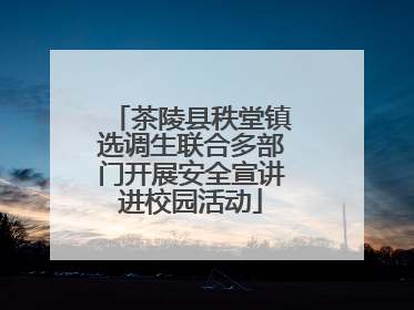茶陵县秩堂镇选调生联合多部门开展安全宣讲进校园活动