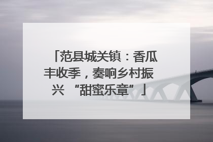 范县城关镇：香瓜丰收季，奏响乡村振兴 “甜蜜乐章”