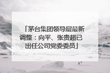 茅台集团领导层最新调整：向平、张贵超已出任公司党委委员