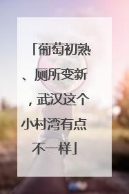 葡萄初熟、厕所变新，武汉这个小村湾有点不一样