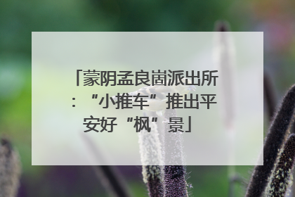 蒙阴孟良崮派出所：“小推车”推出平安好“枫”景