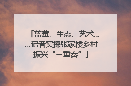 蓝莓、生态、艺术……记者实探张家楼乡村振兴“三重奏”