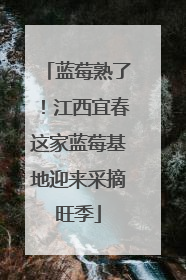 蓝莓熟了！江西宜春这家蓝莓基地迎来采摘旺季