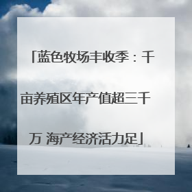 蓝色牧场丰收季：千亩养殖区年产值超三千万 海产经济活力足