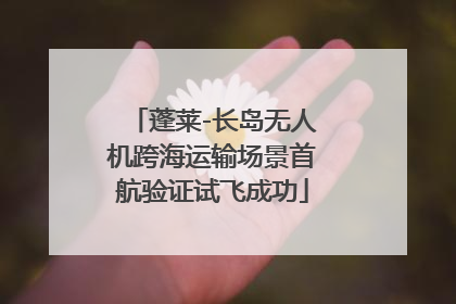 蓬莱-长岛无人机跨海运输场景首航验证试飞成功