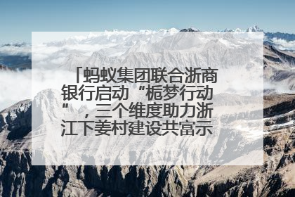蚂蚁集团联合浙商银行启动“栀梦行动”，三个维度助力浙江下姜村建设共富示范区示范点