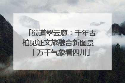 蜀道翠云廊：千年古柏见证文旅融合新图景丨万千气象看四川
