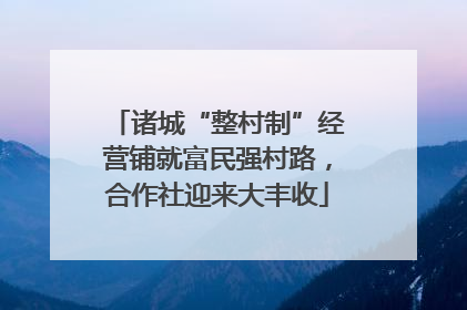 诸城“整村制”经营铺就富民强村路，合作社迎来大丰收