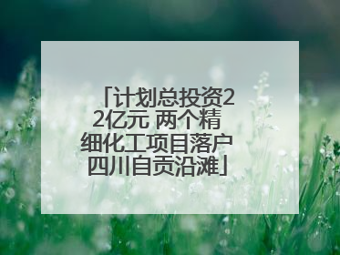 计划总投资22亿元 两个精细化工项目落户四川自贡沿滩