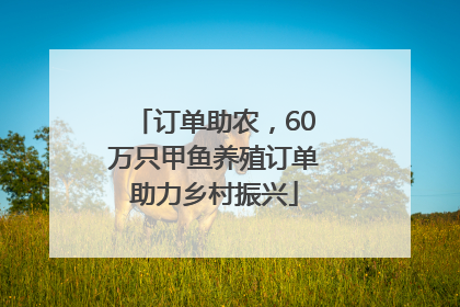 订单助农，60万只甲鱼养殖订单助力乡村振兴