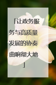 让政务服务与高质量发展的协奏曲响彻大地