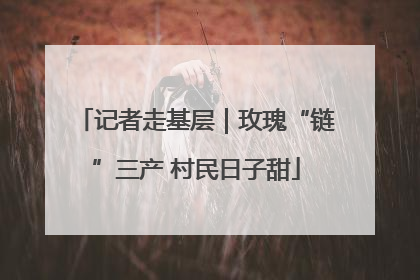记者走基层｜玫瑰“链”三产 村民日子甜