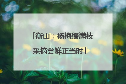 衡山：杨梅缀满枝 采摘尝鲜正当时