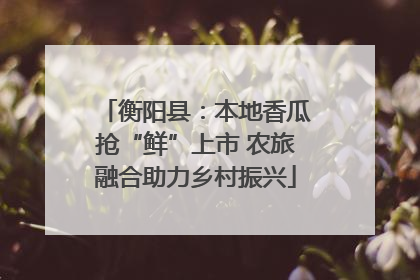 衡阳县：本地香瓜抢“鲜”上市 农旅融合助力乡村振兴