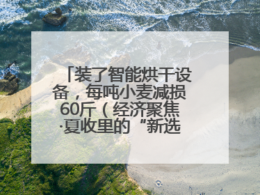 装了智能烘干设备，每吨小麦减损60斤（经济聚焦·夏收里的“新选手”）