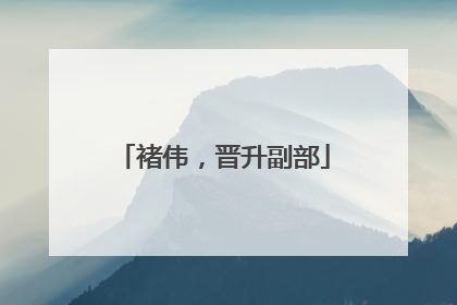 褚伟，晋升副部