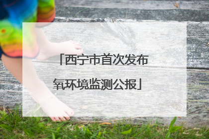 西宁市首次发布氧环境监测公报