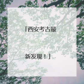 西安考古最新发现！