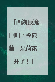西湖顶流回归：今夏第一朵荷花开了！